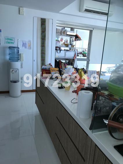 Trevista (D12), Condominium #156468792